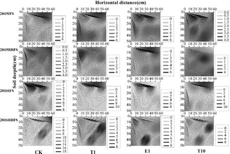 dimensional distribution  cotton root surface area density