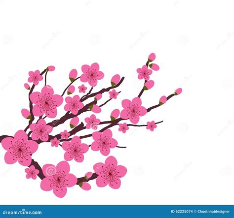 Japanese plum blossom stock vector. Illustration of prosperity - 62225074