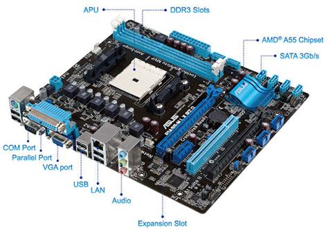 F1A55-M LX R2.0 | Motherboards | ASUS Global