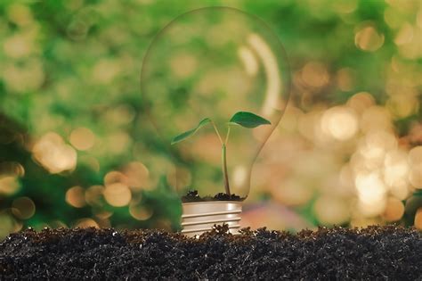 Premium Photo Small Plant In Light Bulb Earth Environment Concept