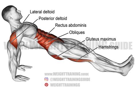 High Reverse Plank Exercise Instructions And Video Weight Training Guide