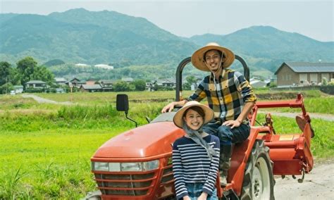 農家の仕事内容は収穫だけじゃない！野菜農家の1日～年間の流れを紹介