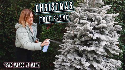 christmas tree prank on my sister!! vlogmas day 8 | Tree, Christmas ...