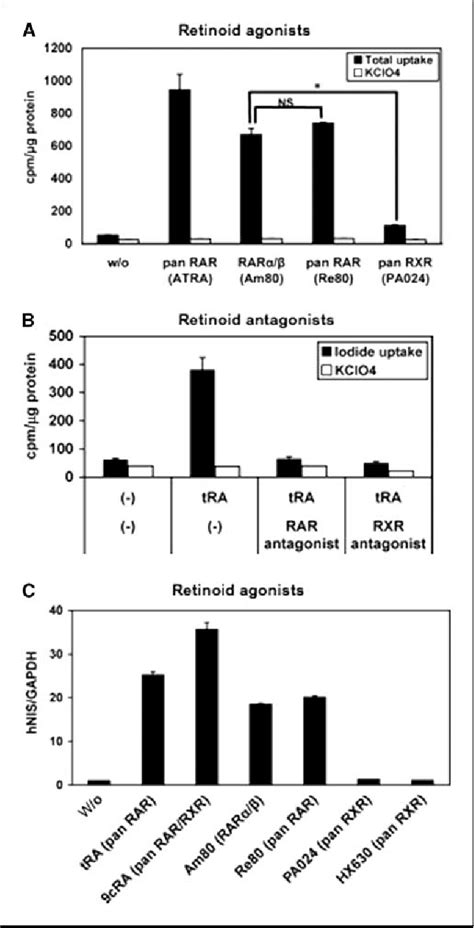 Figure 1 From Activation Of The Pi 3 Kinase Pathway By Retinoic Acid