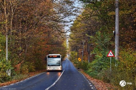 B Autobuzele Liniilor I B Nu Vor Mai Opri