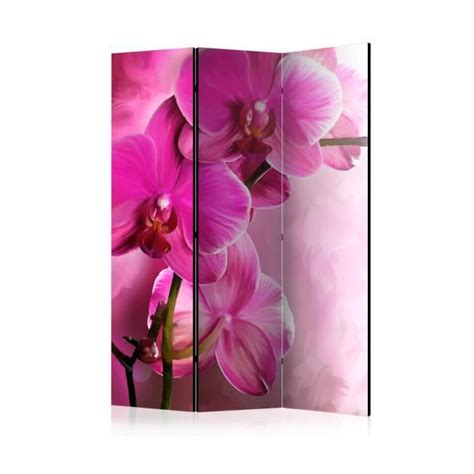 Paravent Volets Pink Orchid Room Dividers X Artgeist