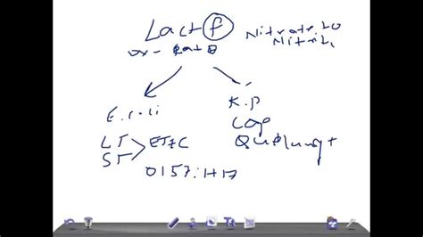 Medical Video Lecture Lactose Fermenting Bacteria Microbiology Youtube