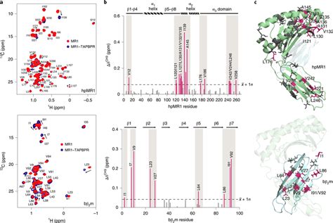 Tapbpr Recognizes Conserved Interaction Surfaces On Mhc I And Mr A D