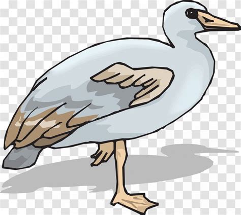 Goose Clip Art Cygnini Duck Seabird Transparent PNG