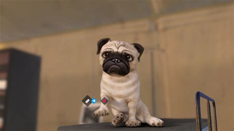 Animal Rescue For Ps4