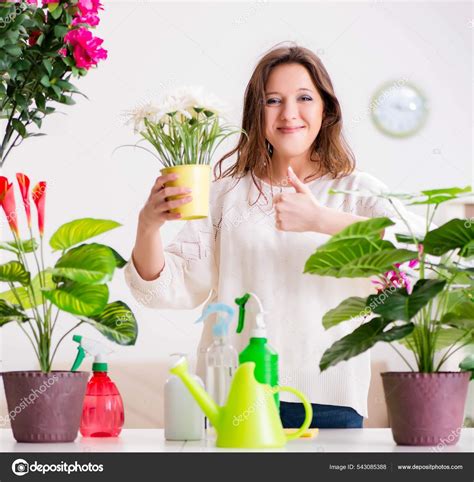 Young woman looking after plants at home Stock Photo by ©Elnur_ 543085388