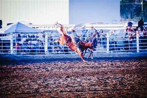 Snake River Stampede Opens Today Full Events Calendar Listed