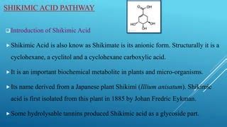 Shikimic acid pathway | PPT