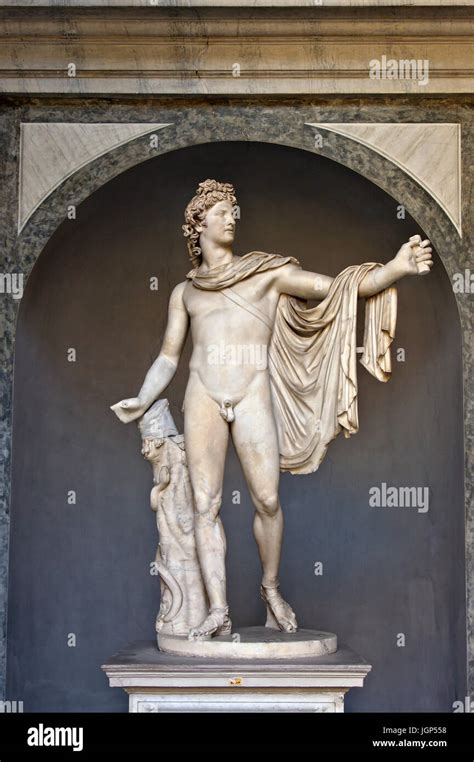 La Statua Di Apollo Belvedere Nel Cortile Ottagono Cortile Ottagonale