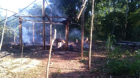 Colonos queman casas de indígenas tacanas por copar tierras forestales