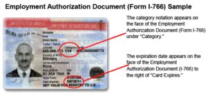 I9 Employment Authorization Document