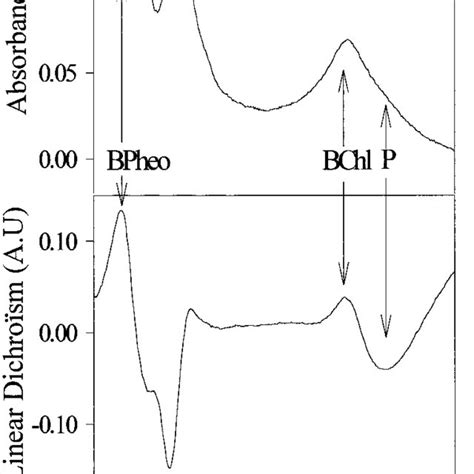 Absorbance And Ld Spectra Of Purified Cyt B 6 F Complex From C