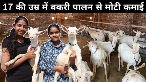 छोटी सी उम्र में इस लड़की ने बना डाला लाखों का बकरी फार्म Goat