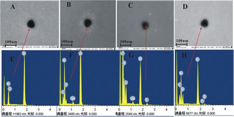 Characterization Of Functionalized Nanopores A D Fesem Images