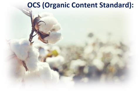 Gots Vs Ocs Certification Archives Textile Research And Development
