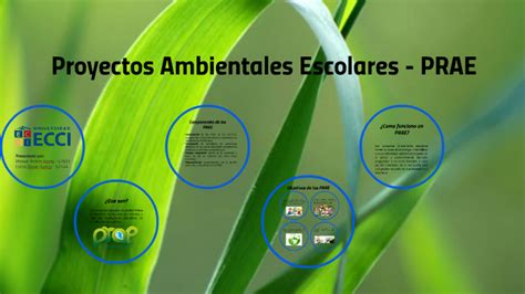 Proyectos Ambientales Escolares Prae By Carlos Daniel Hortua On Prezi