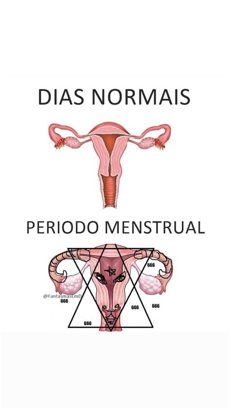 Pin De Edineide Umburana Em Salvamentos R Pidos Humor Feminino