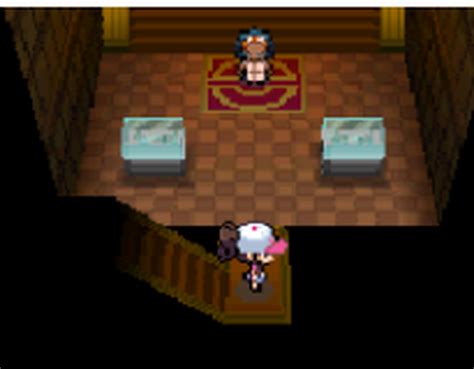 Pokemon Black Hardcore Nuzlocke Fandom
