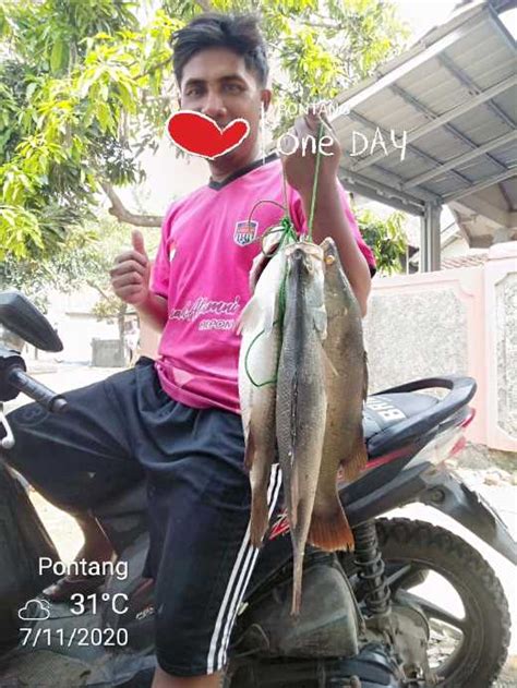 Tambak Perikanan Data Umkm