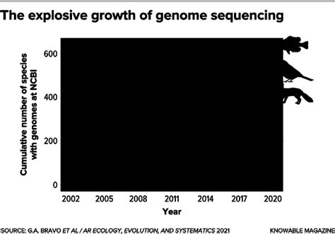 Learning About Birds From Their Genomes Knowable Magazine