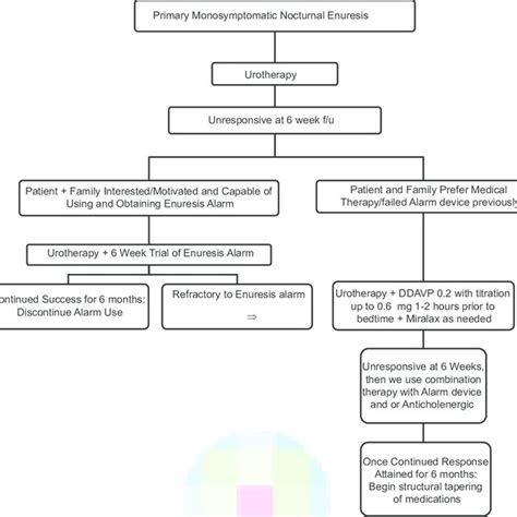 Nocturnal Enuresis Algorithm Adapted From Gomelia Lg Nocutrnal Download Scientific Diagram