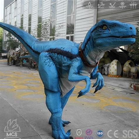 Best Party Rental Raptor Blue Costume Dcrp Blue Costumes Dinosaur