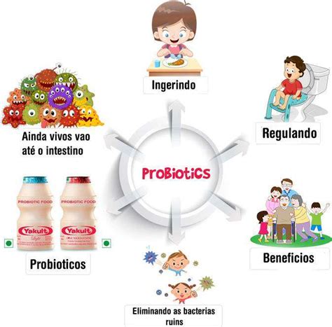 O que é Probiótico Como Fazer Tipos e Benefícios Receita Natureba