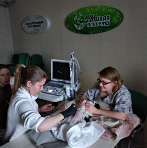 УЗИ