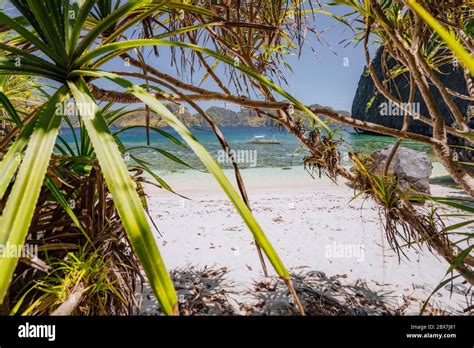 El Nido Palawan Philippines Tropical Paradise Beach With Exotic Foliage Plants Blue Lagoon