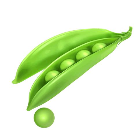 Pea Transparent Png Png All