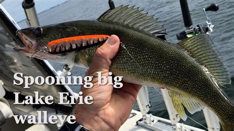 Trolling Spoons For Lake Erie Walleye Youtube