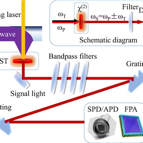 Theoretical Exploration Of Terahertz Single Photon Detection And