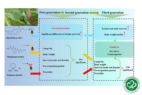 中棉所崔金杰研究员团队系统阐释三种非杀虫农药对农田重要天敌龟纹瓢虫的影响模式 中国农业科学院棉花研究所