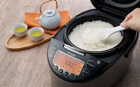 Wow Pemerintah Bakal Bagi Bagi Rice Cooker Gratis Nilai Anggaran