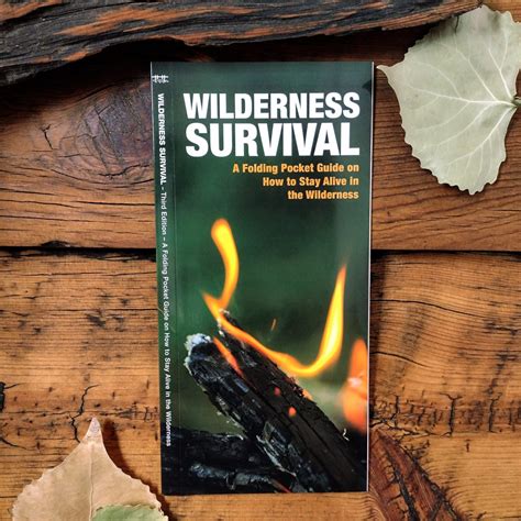 Wilderness Survival Guide