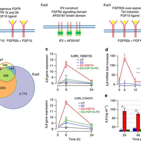 Derivation And Validation Of The FGFR2 Gene Expression Signatures A