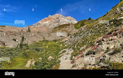 Hiking on the Timberline Trail Stock Photo - Alamy