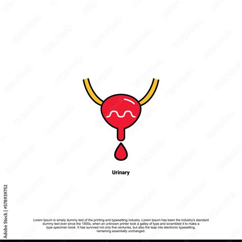 urinary incontinence condition loss  bladder control urologic