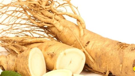 Ginseng Nedir Ne I E Yarar Faydalar Neler Nas L Kullan L R