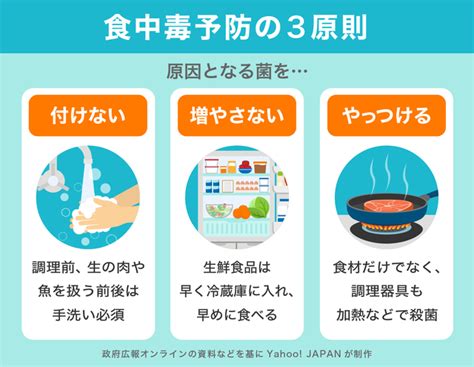 【qanda】夏場の「食中毒」の特徴は？ 予防策は？ 【図解】（yahooニュース オリジナル The Page）