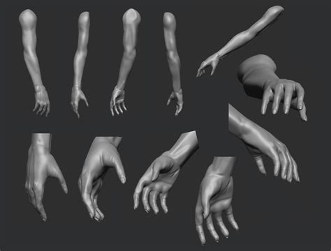 Human Female Arms