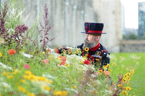 Queen S Garden Superbloom At The Tower Of London Aldgate Connect Bid