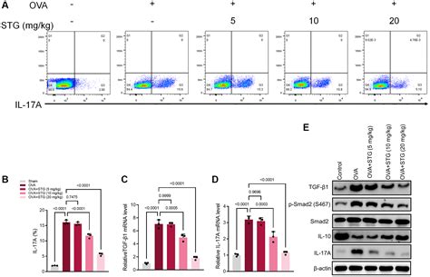 Stigmasterol Alleviates Airway Inflammation In Ova Induced Asthmatic