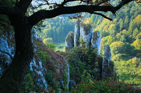 Ojcowski National Park Poland Photo On Sunsurfer