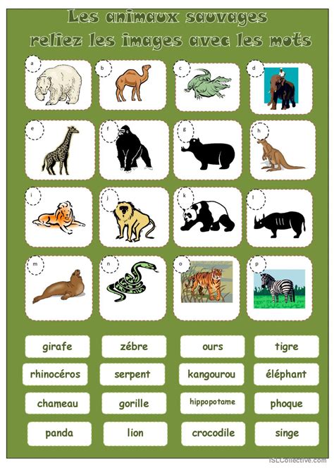 ANIMAUX SAUVAGES compréhension génér Français FLE fiches pedagogiques